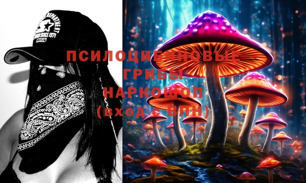 гидропоника Белоозёрский