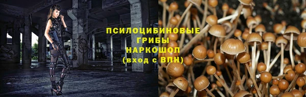 дурь Беломорск